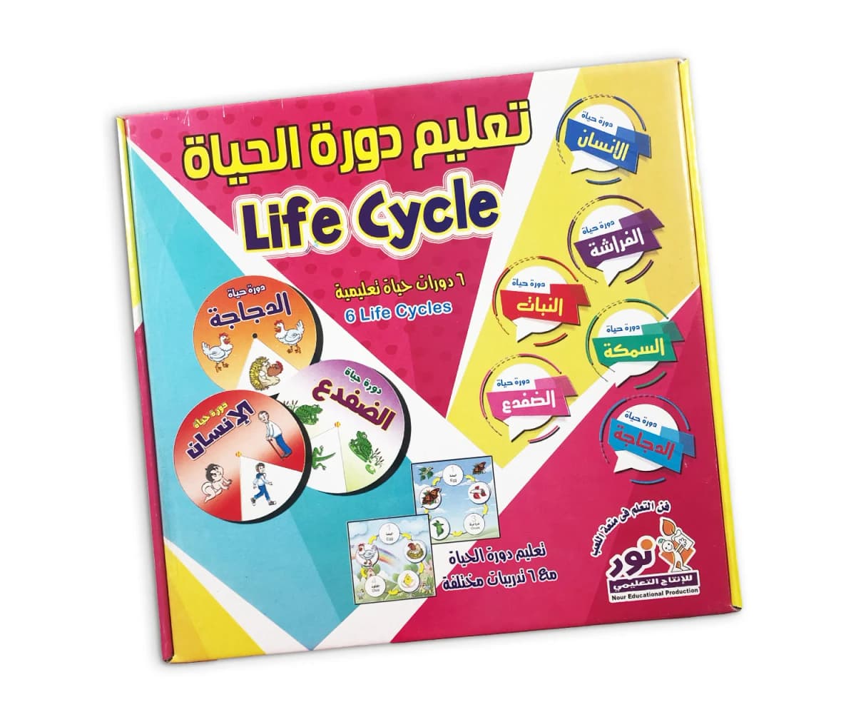 دورة الحياة - صورة 2