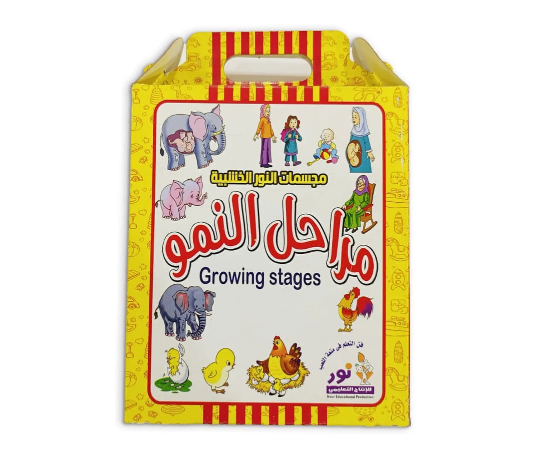 المجسمات - مراحل النمو وبري